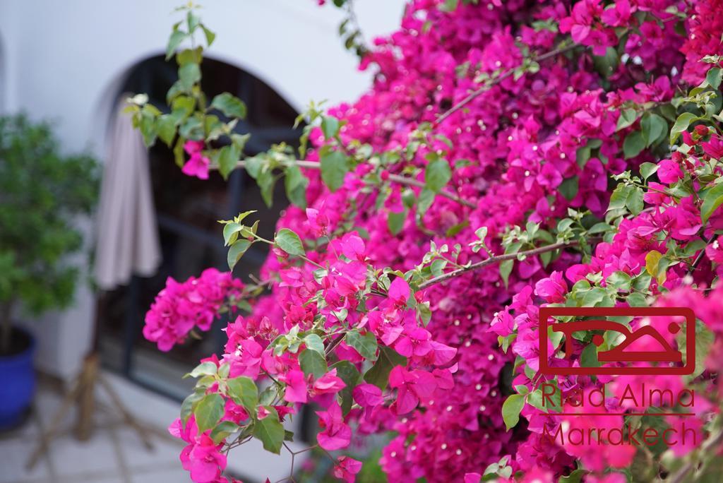 Riad Alma มาร์ราเกช ภายนอก รูปภาพ